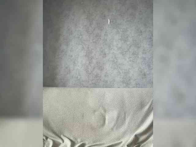 apple15promax webcam