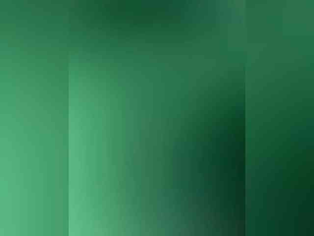 apple15promax webcam