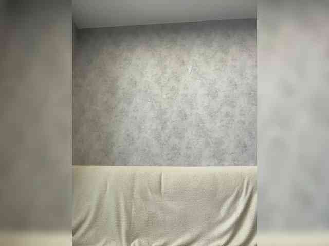 apple15promax webcam