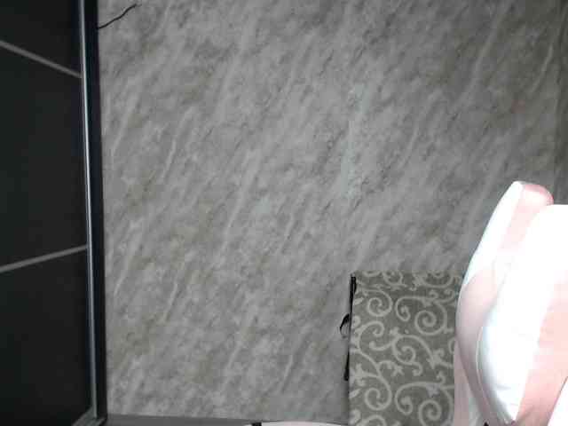 Regimasmile webcam