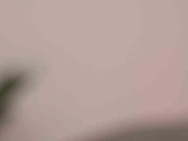 Cute_Shine webcam