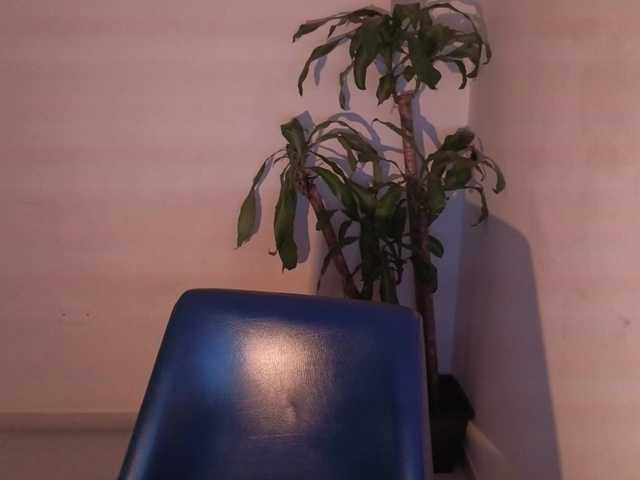 venusjade's BongaCams show and profile