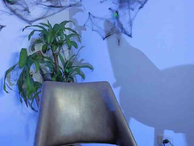 venusjade webcam