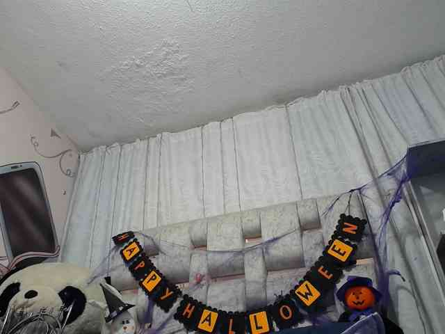 ANA-BULLOCK- webcam