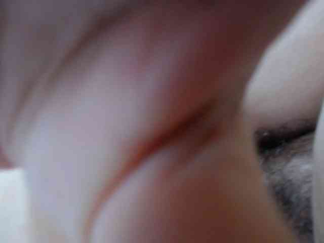 ANA-BULLOCK- ANA-BULLOCK-