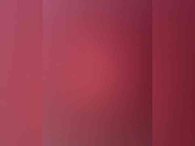 Neulovimie webcam