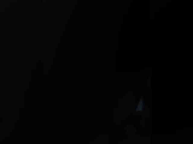 Neulovimie webcam