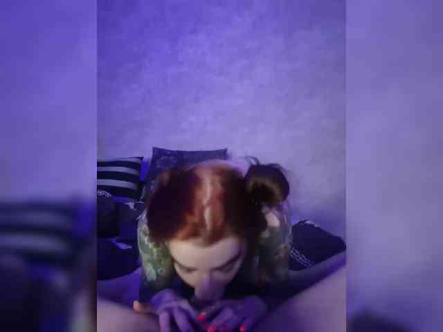 Neulovimie webcam