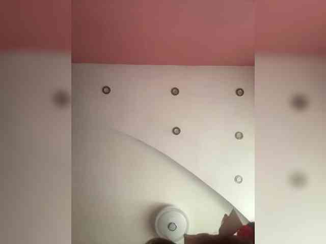 Neulovimie webcam