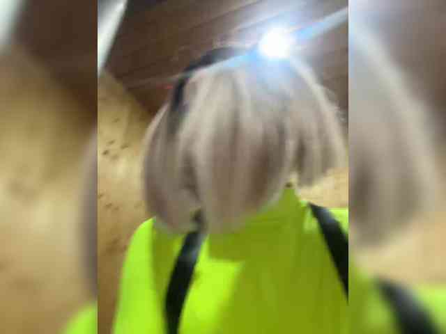 Neulivimie Neulivimie