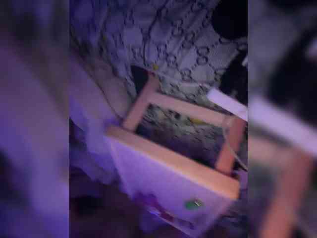 Neulovimie webcam