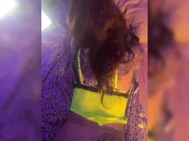 Neulovimie webcam