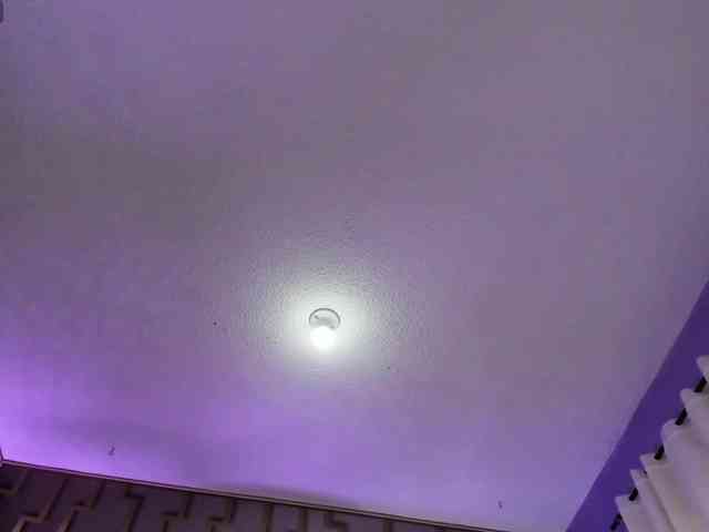 Deny-rose webcam