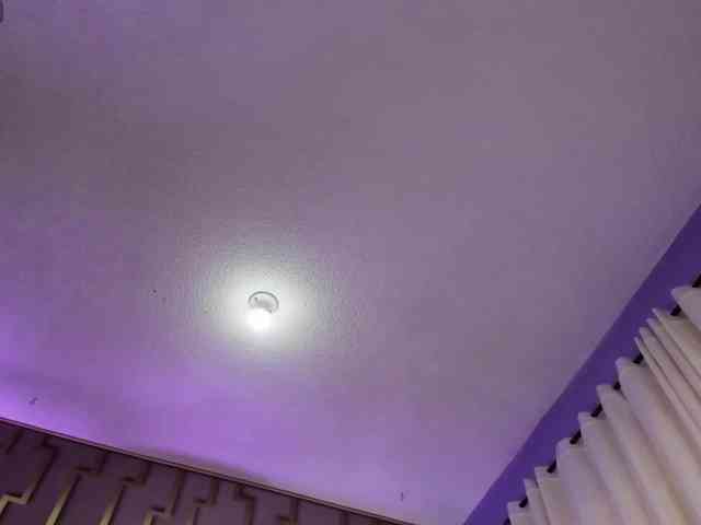 Deny-rose webcam