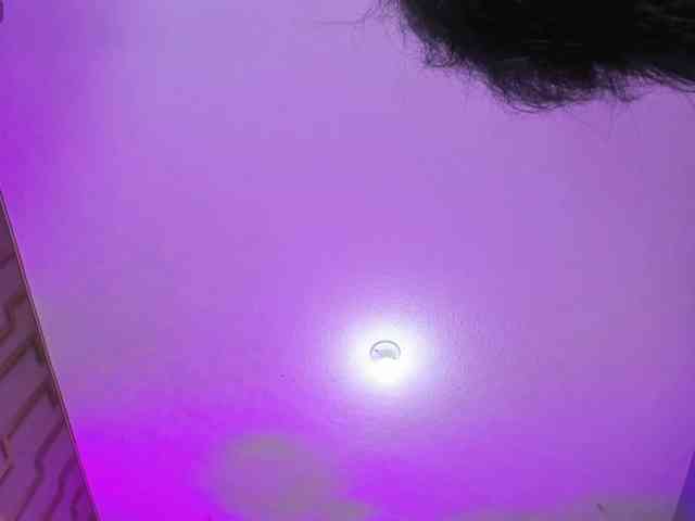 Deny-rose webcam