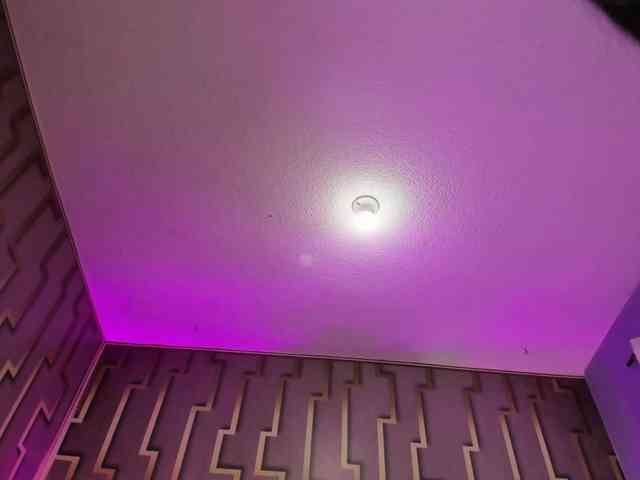 Deny-rose webcam