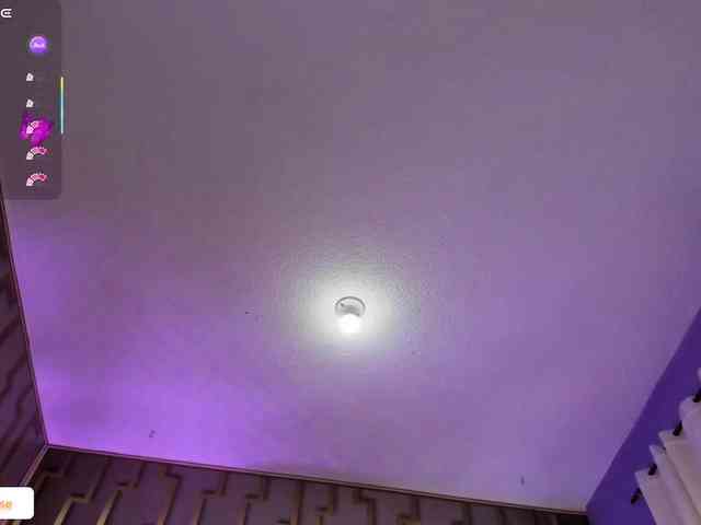 Deny-rose webcam