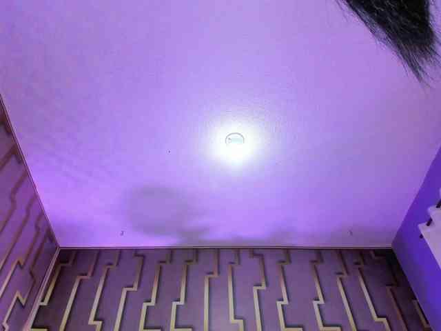Deny-rose webcam