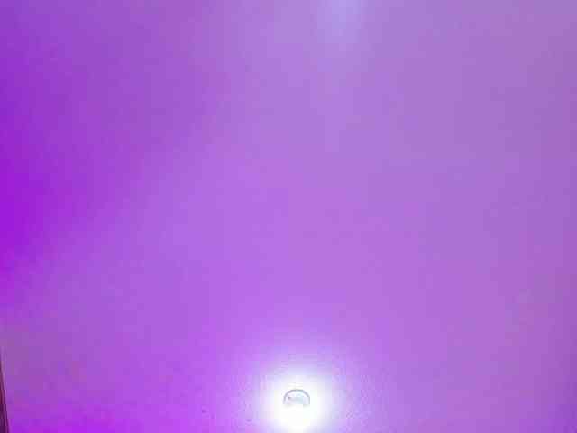 Deny-rose webcam