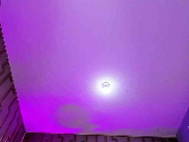 Deny-rose webcam