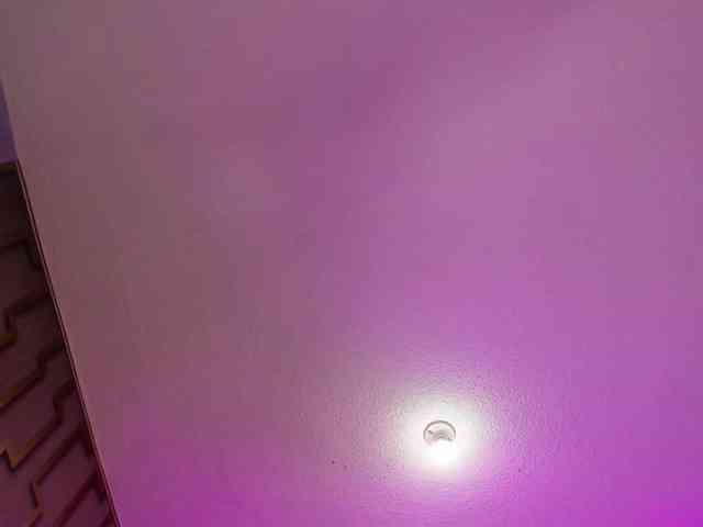 Deny-rose webcam