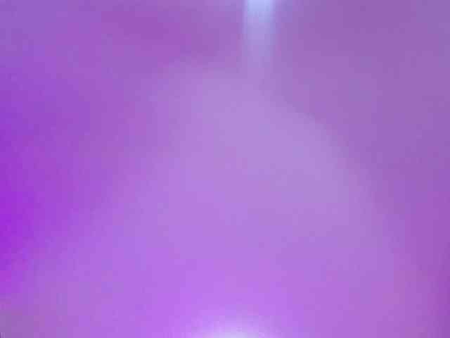 Deny-rose webcam