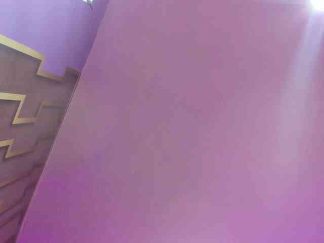 Deny-rose webcam