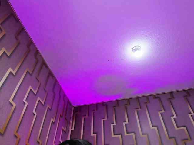 Deny-rose webcam