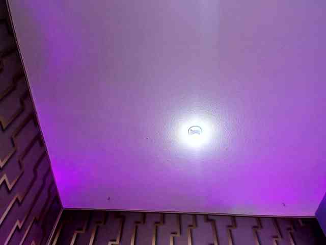 Deny-rose webcam