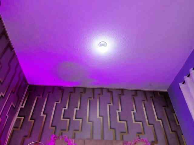 Deny-rose webcam