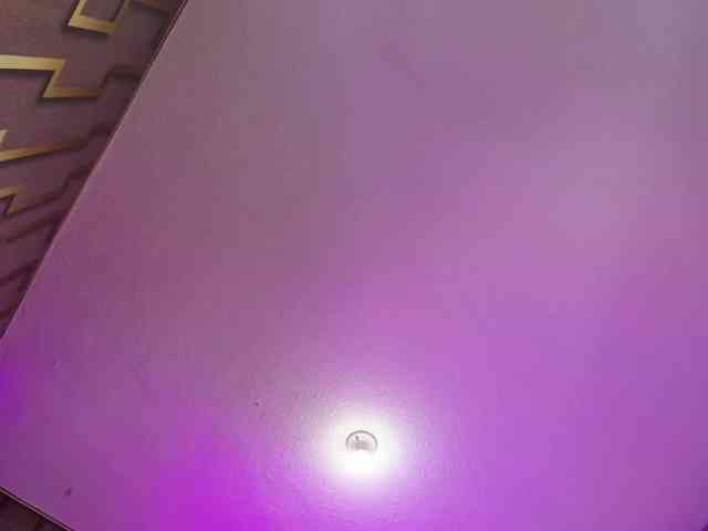 Deny-rose webcam