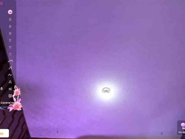 Deny-rose webcam