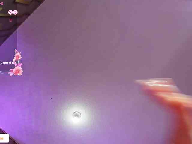 Deny-rose webcam