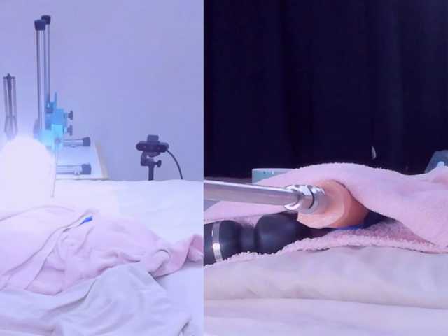  Lizz-Bela chat room