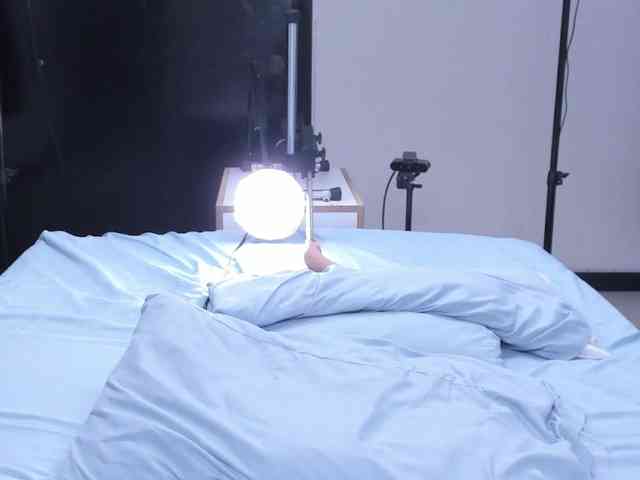 Lizz-Bela webcam