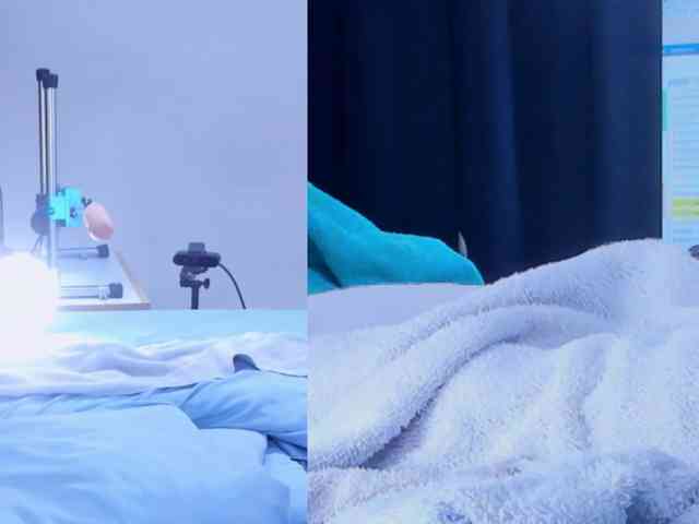 Lizz-Bela webcam