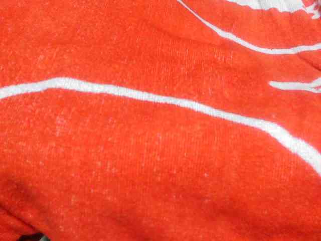atalaya31 webcam