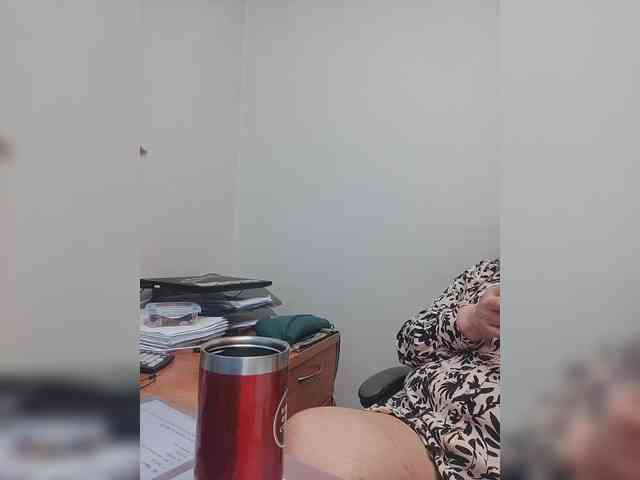 BESTija-1 webcam