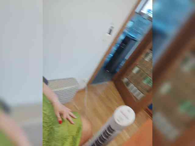 BESTija-1 webcam