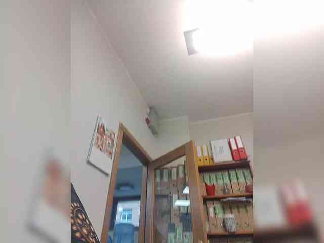 BESTija-1 webcam