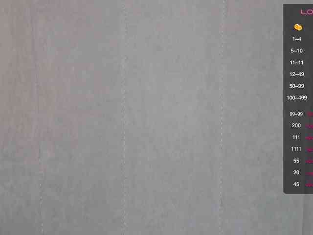 persika webcam