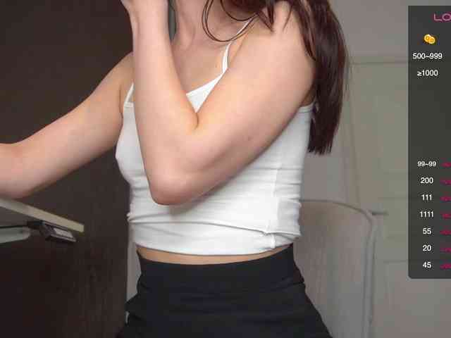 persika webcam
