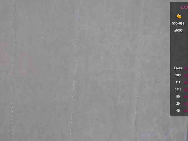 persika webcam