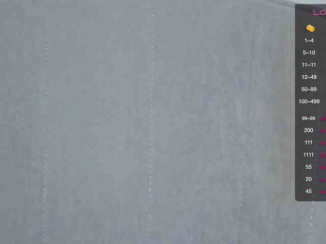 persika webcam