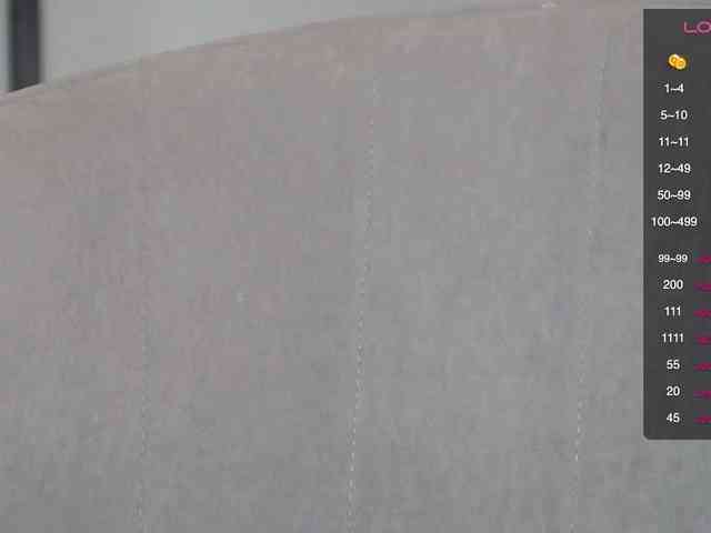 persika webcam