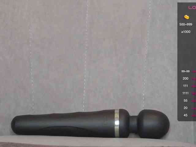 persika webcam