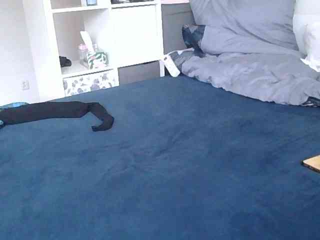 Lucille webcam