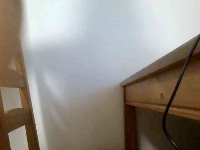 Lucille webcam
