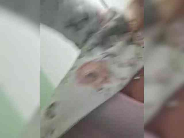 Lucille webcam
