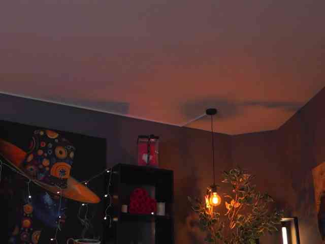 EvelynEvyy EvelynEvyy